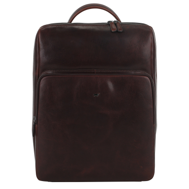 Braun Buffel