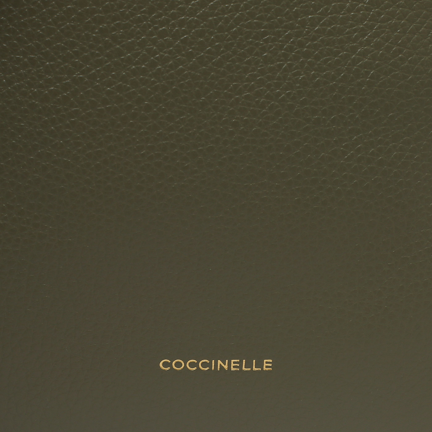 Кожаный рюкзак Coccinelle CoccinelleMalory