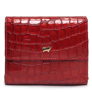 Braun Buffel